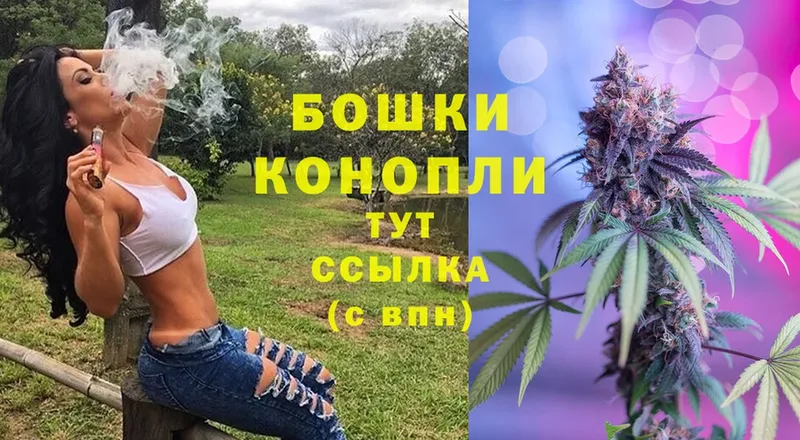 Бошки Шишки семена  Бутурлиновка 